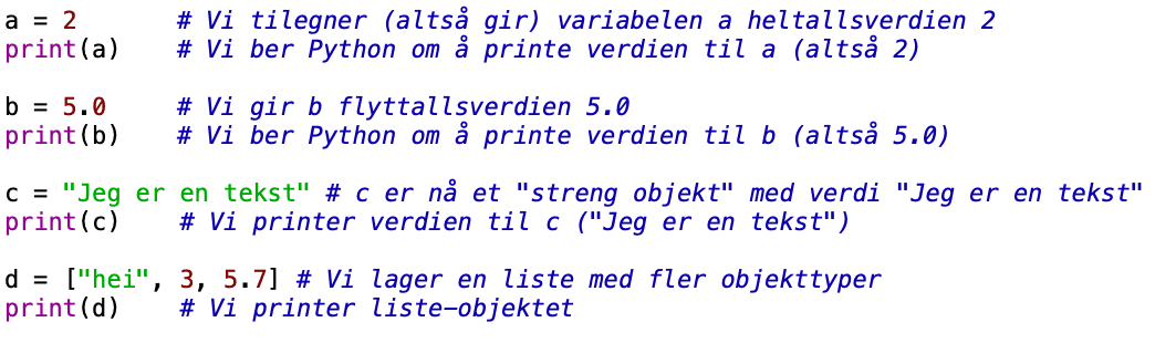 Variabler og datatyper i Python