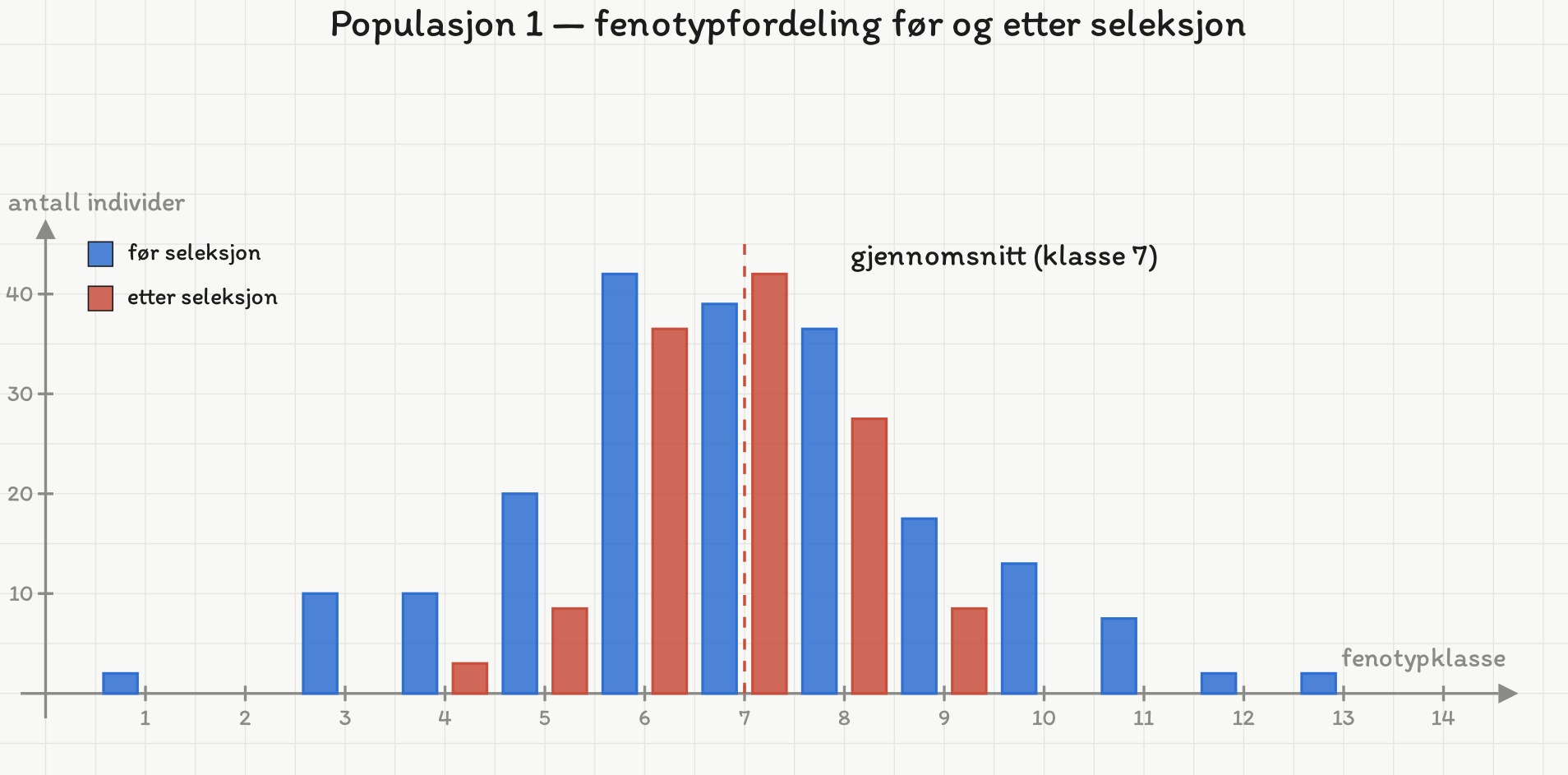 Histogram for populasjon 1. Før seleksjon er fordelingen bred med topp i klasse 6. Etter seleksjon er den mye smalere, klasse 4 til 9, med topp i klasse 7.