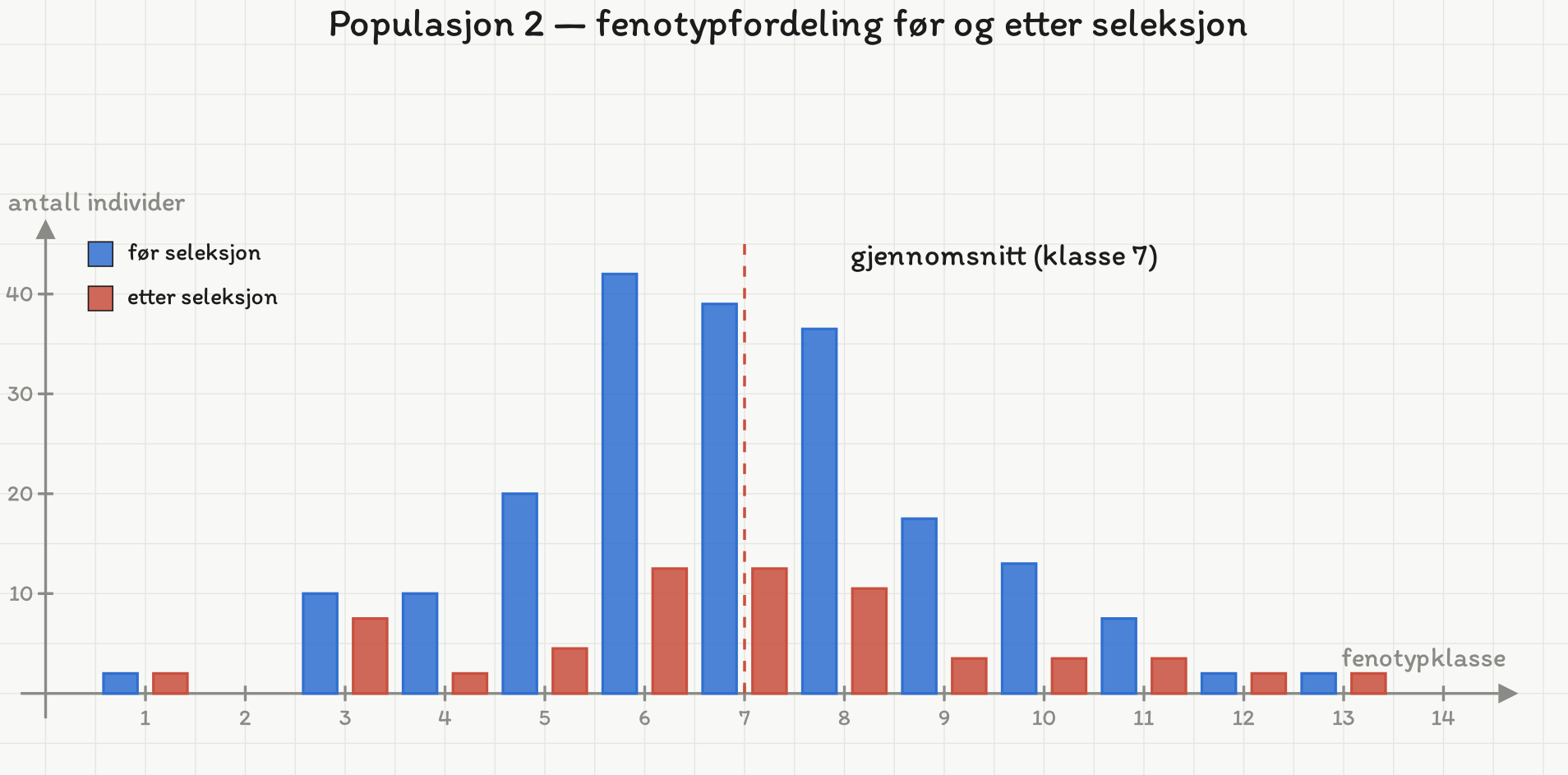 Histogram for populasjon 2. Før seleksjon er fordelingen bred med topp i klasse 6. Etter seleksjon er alle klassene mye lavere og jevnere, uten tydelig topp.