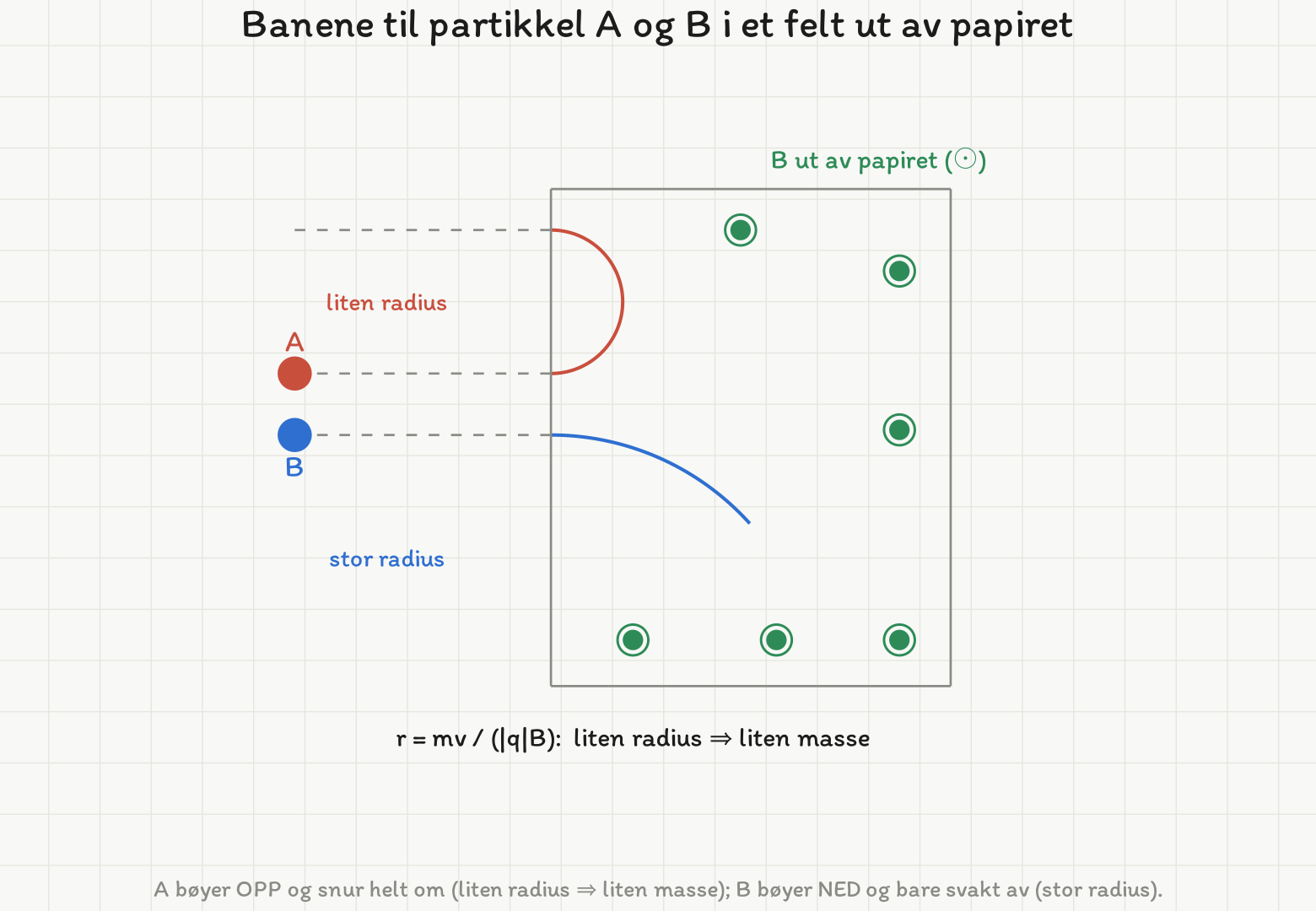 To partikler kommer inn vannrett fra venstre i et felt ut av papiret, markert med prikker i sirkler. Partikkel A følger en rød halvsirkel med liten radius og snur helt om oppover. Partikkel B følger en blå bue med over fire ganger så stor radius og bøyer bare svakt nedover.