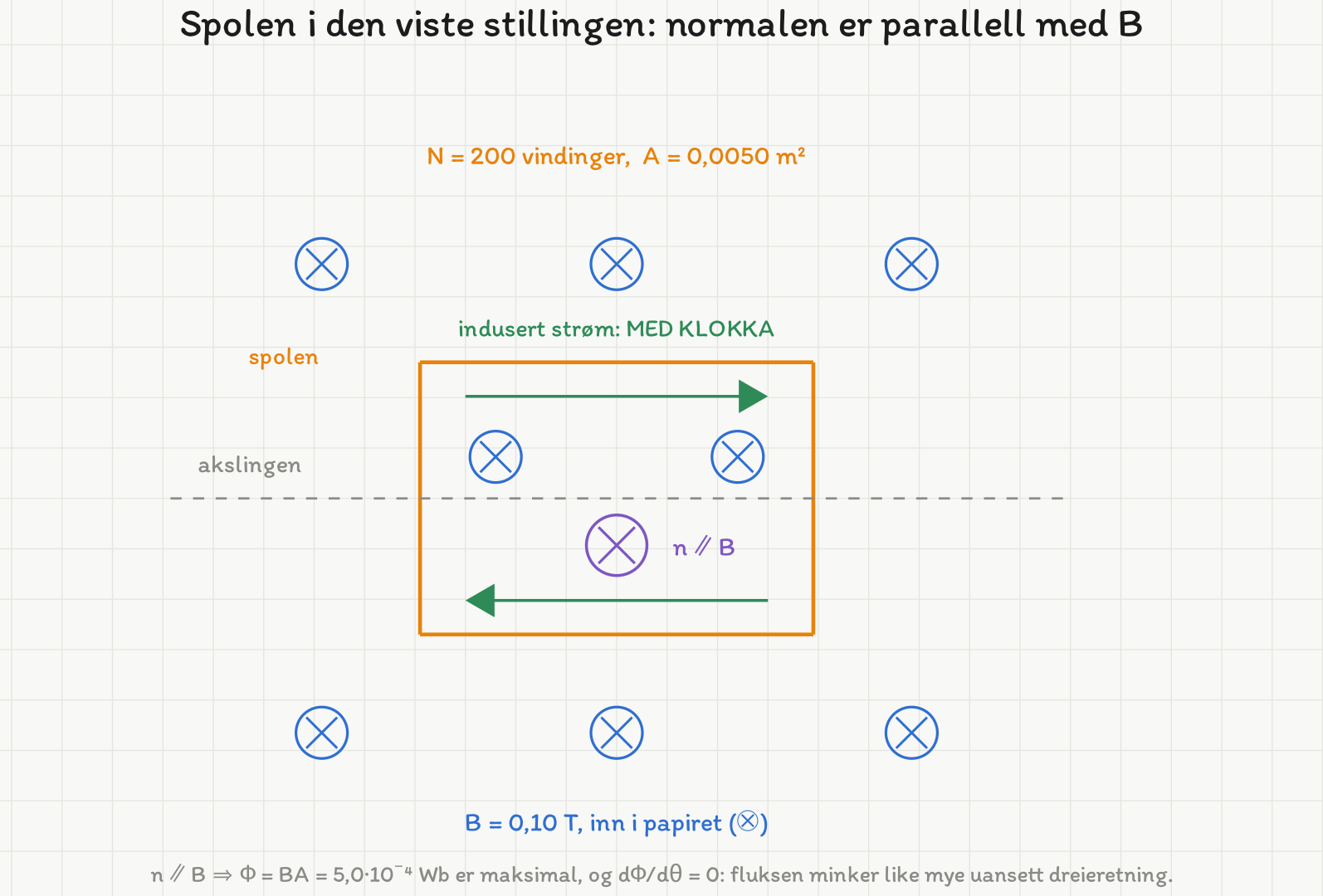Spolen tegnet som et oransje rektangel i papirplanet, med den vannrette akslingen som stiplet linje gjennom midten. Feltet er markert med kryss både innenfor og utenfor spolen, altså inn i papiret. Et lilla kryssmerke inne i spolen viser normalvektoren n parallell med B. To grønne piler inne i spolen, den øverste mot høyre og den nederste mot venstre, viser at den induserte strømmen går med klokka.