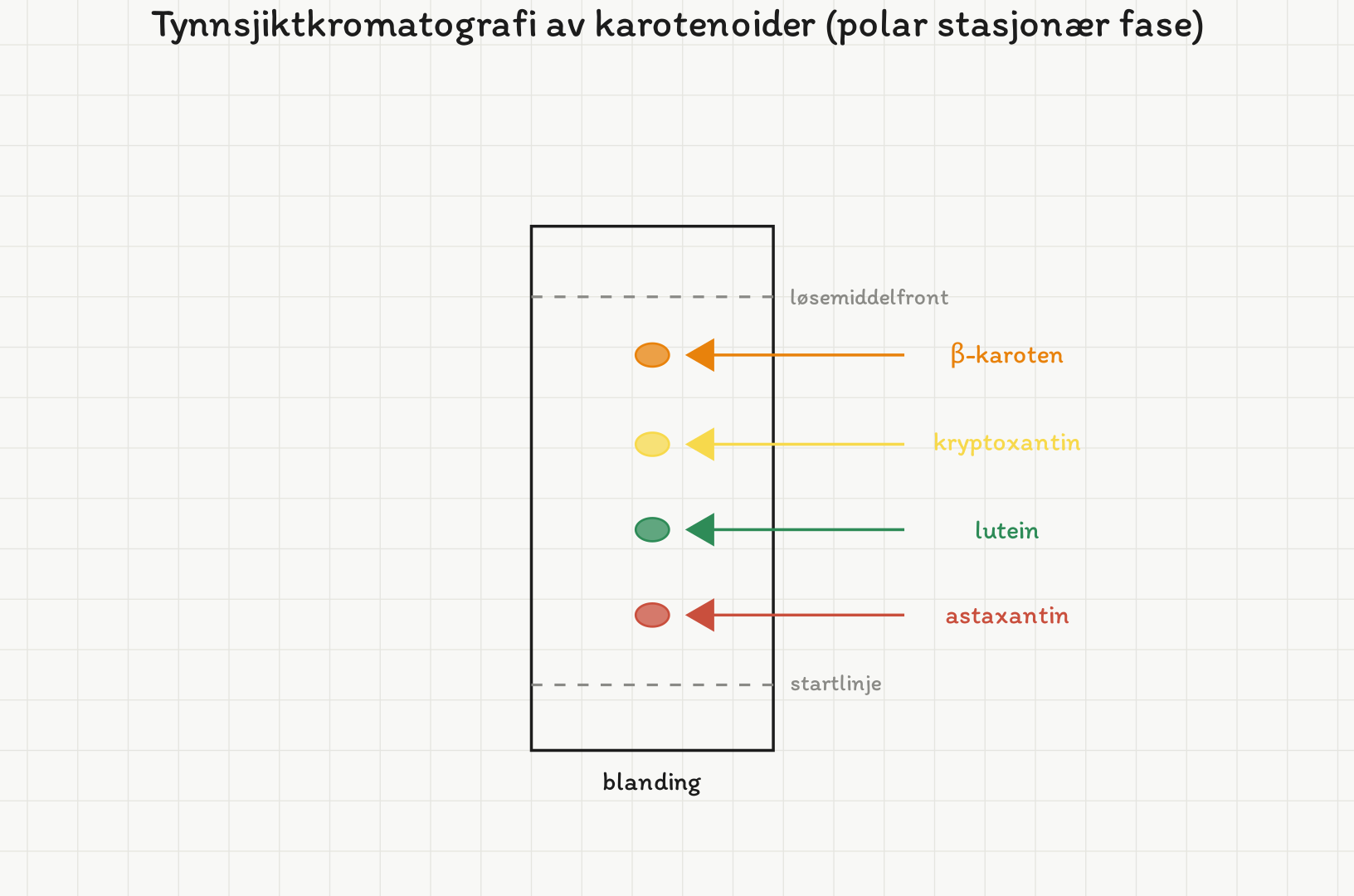 Tynnsjiktplate med fire flekker i en bane. Nederst astaxantin (Rf 0,18), så lutein (0,40), kryptoxantin (0,62) og øverst beta-karoten (0,85).