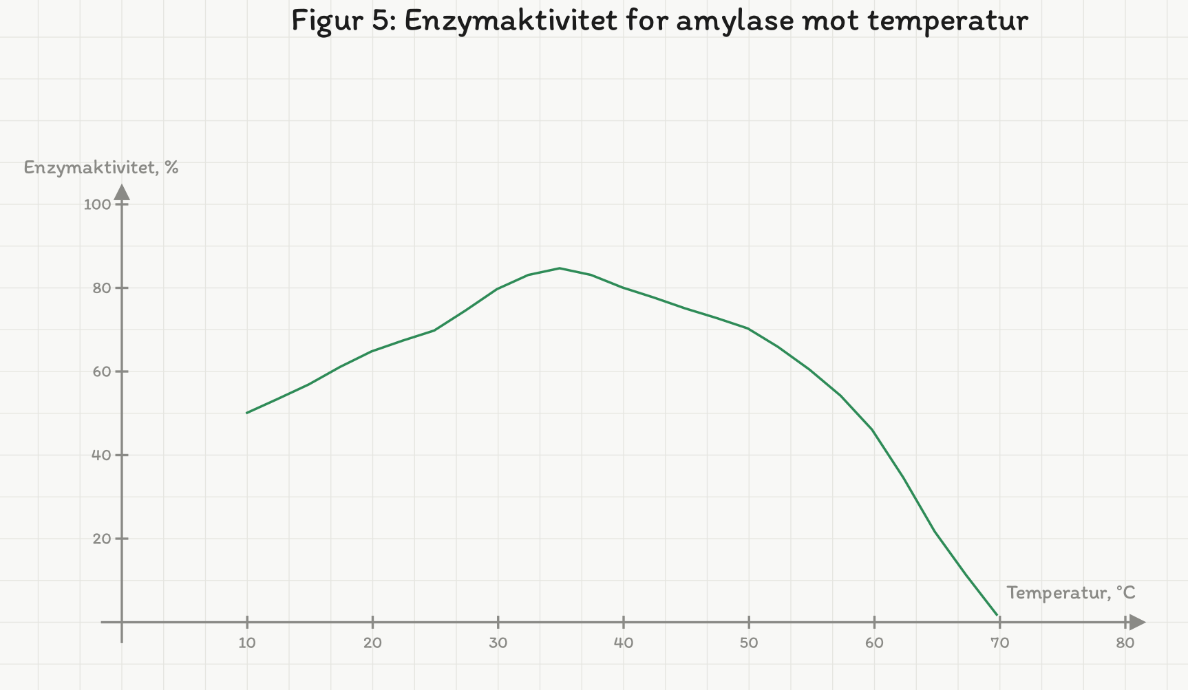Figur 5: enzymaktivitet i prosent mot temperatur. Kurven starter på 50 prosent ved 10 grader, topper på 85 prosent ved 35 grader og faller til null ved 70 grader.